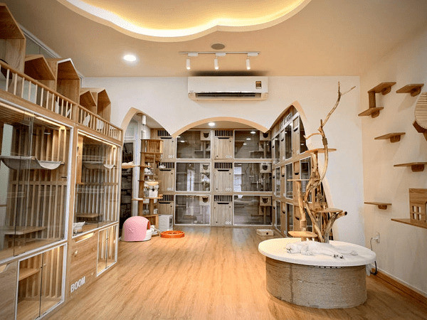 Không gian rộng rãi tiện nghi tại Kin Neko Pet Hotel &amp; Grooming