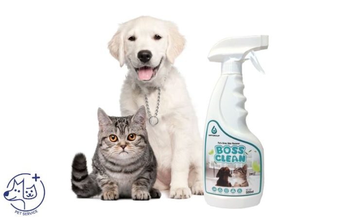 Chủ nhân đang tắm và chải lông cho chó cưng, một phần quan trọng của cách khử mùi hôi chuồng chó toàn diện