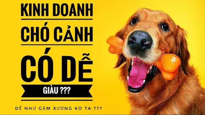 Kinh Nghiệm Kinh Doanh Chó Cảnh Hiệu Quả và Bền Vững