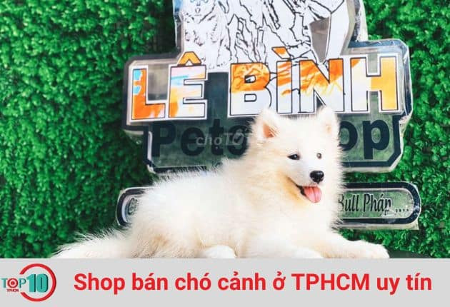 Lê Bình Pets Shop, một shop bán chó cảnh ở TPHCM được nhiều người nổi tiếng tin tưởng