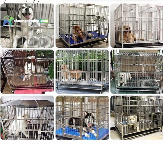 lồng chó mèo lắp ghép đẹp mắt