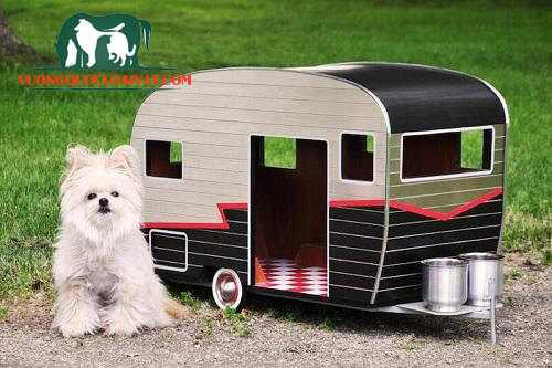 Mẫu chuồng chó sắt chắc chắn, thiết kế thông thoáng, phù hợp cho nhiều giống chó