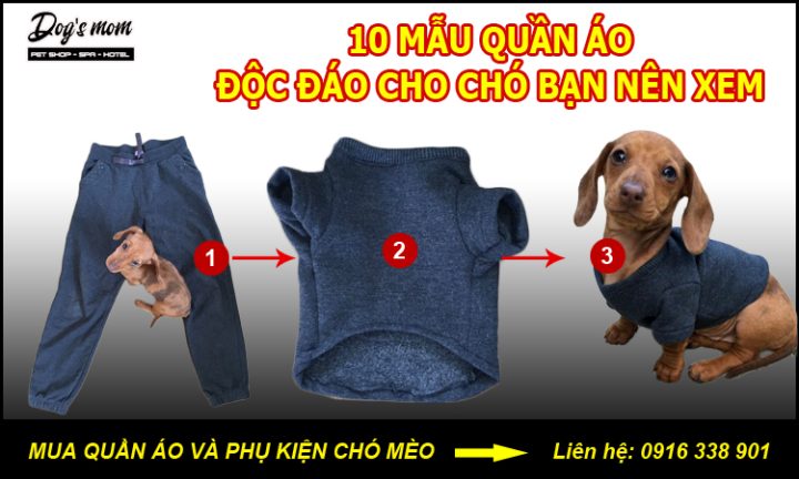 Các Kiểu Áo Cho Chó Đẹp Nhất: Hướng Dẫn Chi Tiết