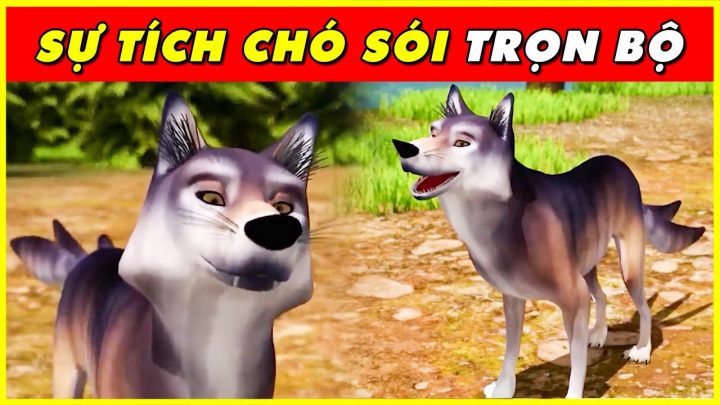 Sự Tích Con Chó Sói: Nguồn Gốc và Ý Nghĩa Huyền Bí