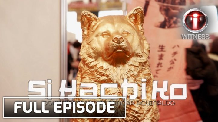 Phim Chú Chó Hachiko Vietsub: Câu Chuyện Vượt Thời Gian