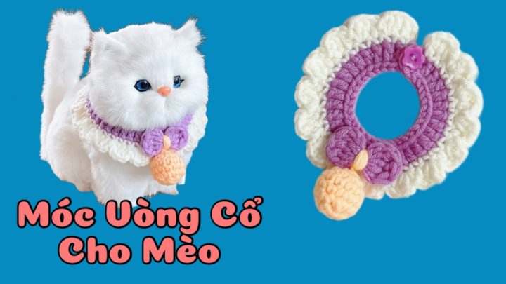 Cách Làm Vòng Cổ Handmade Cho Chó Đẹp, Bền và An Toàn