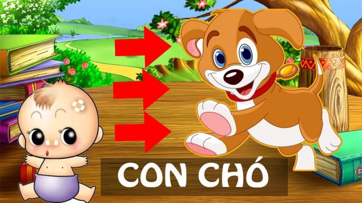 Con Chó Con Tiếng Anh Là Gì: Giải Mã Thuật Ngữ, Từ Vựng & Thành Ngữ Chi Tiết