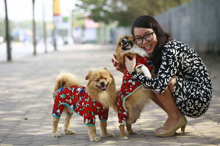 May áo cho chó tạo phong cách riêng