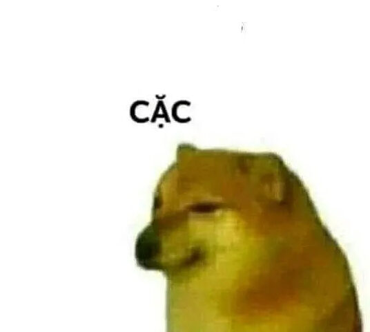 Meme chó bịt mõm với ánh mắt đầy bất mãn, thể hiện sự hài hước trong những tình huống trớ trêu.