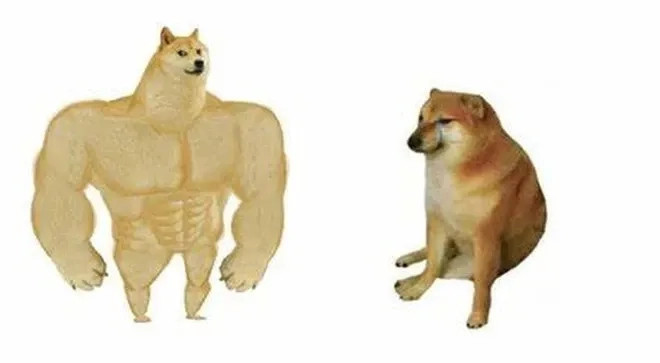 Meme chó chỉ tay đầy biểu cảm, thường được dùng để nhấn mạnh hoặc ra lệnh một cách dí dỏm.