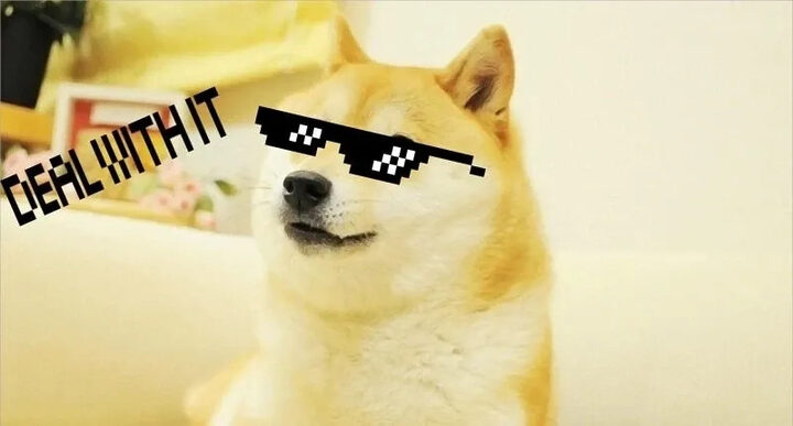 Meme &quot;chó ngáo&quot; với ánh mắt và biểu cảm hài hước đặc trưng, thường được dùng để diễn tả sự bối rối hoặc ngạc nhiên.