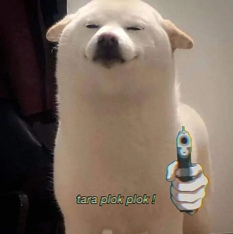 Meme hai chú chó tương tác với nhau một cách ngộ nghĩnh, tạo ra khoảnh khắc hài hước độc đáo.