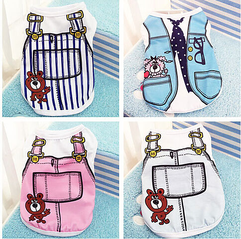Mèo con mặc áo hình gấu giả vest, một ví dụ về thú cưng có thể tìm thấy ở shop bán chó mèo giá rẻ.