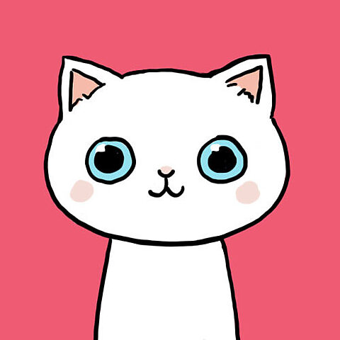 Mèo cute biểu cảm ngộ nghĩnh