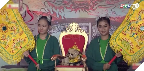 Mèo Hoàng Thượng tên Chó với biểu cảm ấn tượng trong chương trình Người Bí Ẩn