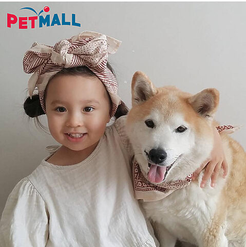 Một chú chó dễ thương bên cạnh em bé là lưu ý khi nuôi chó