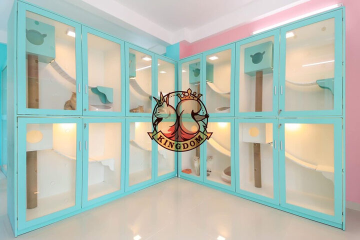 Một chú chó lông xù trắng đang được nhân viên âu yếm trong phòng riêng tại Kingdom Petcare, thể hiện sự quan tâm chu đáo của dịch vụ trông giữ chó mèo giá rẻ.