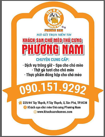Một chú chó màu nâu đang nằm nghỉ ngơi trên chiếc nệm êm ái trong căn phòng riêng tại Khách sạn chó mèo Phương Nam, minh họa dịch vụ trông giữ chó mèo giá rẻ với tiện nghi hiện đại.