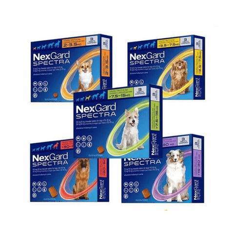 Hướng Dẫn Chi Tiết Các Loại Thuốc Cho Chó Cưng Hiệu Quả