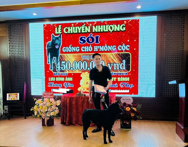 Người đàn ông đang bế chú chó Mông Cộc, hình ảnh tình cảm giữa chủ và vật nuôi