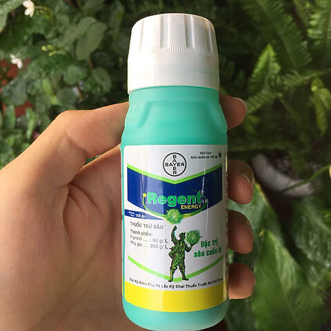 Người nông dân đang phun thuốc Regent diệt ve chó và sâu bệnh