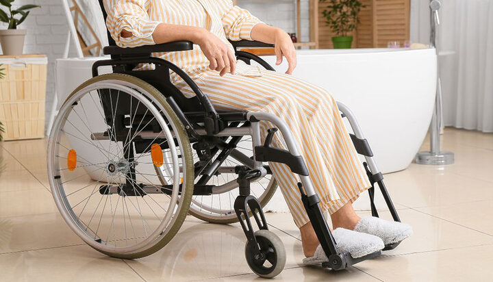 Nguy cơ từ sán chó và giun đũa chó đến sức khỏe