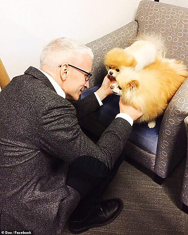 Nhà báo Anderson Cooper cùng Boo và Buddy, những chú chó nổi tiếng