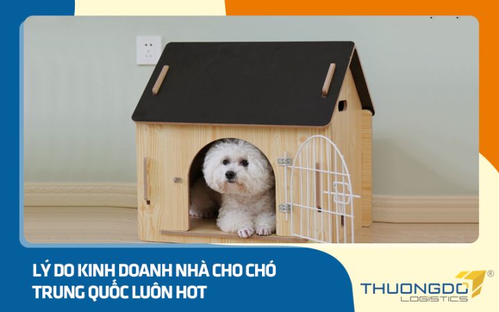 Nhà Cho Chó Giá Rẻ: Bí Quyết Chọn Lựa & Nơi Mua Tốt Nhất