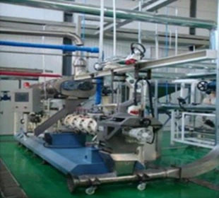 Nhà máy sản xuất thức ăn cho cá công suất 600-800kg/giờ tại Congo
