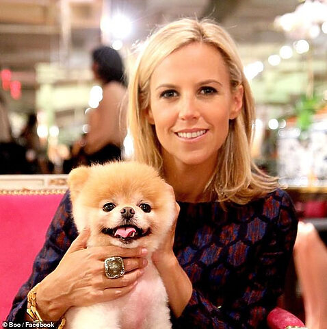 Nhà thiết kế Tory Burch chụp ảnh cùng Boo, chú chó đáng yêu