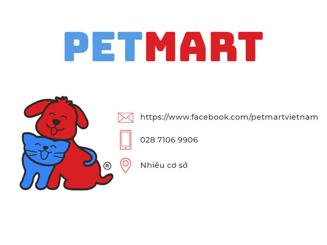 Nhiều chú chó con đang chơi đùa trong không gian rộng rãi, sạch sẽ tại Pet Mart, cho thấy dịch vụ trông giữ chó mèo giá rẻ vẫn đảm bảo môi trường sống lý tưởng.