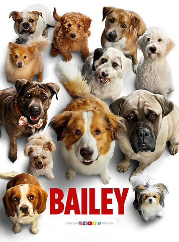 Những hình thái khác của Bailey trong A Dog's Journey