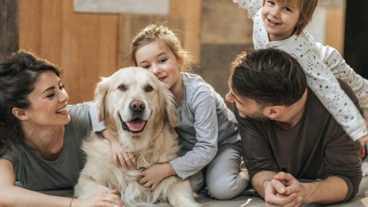 Những Lợi Ích Tuyệt Vời Của Chó Đối Với Cuộc Sống Con Người