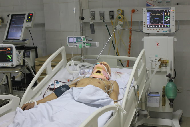 Chó Bị Chấn Thương Sọ Não: Dấu Hiệu, Xử Lý Và Chăm Sóc Đúng Cách