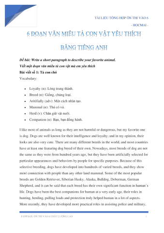 Miêu Tả Chó Bằng Tiếng Anh: Cẩm Nang Từ Vựng & Mẫu Câu Chi Tiết