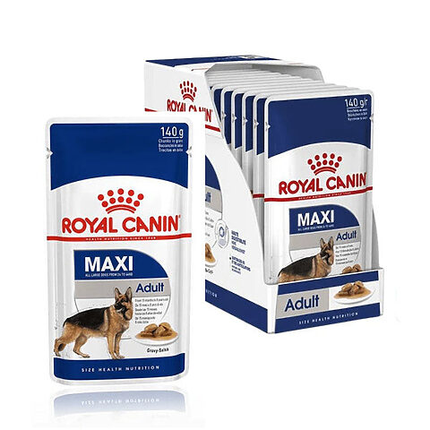 Pate Royal Canin Maxi Adult cho chó lớn, hỗ trợ tiêu hóa và lông mượt