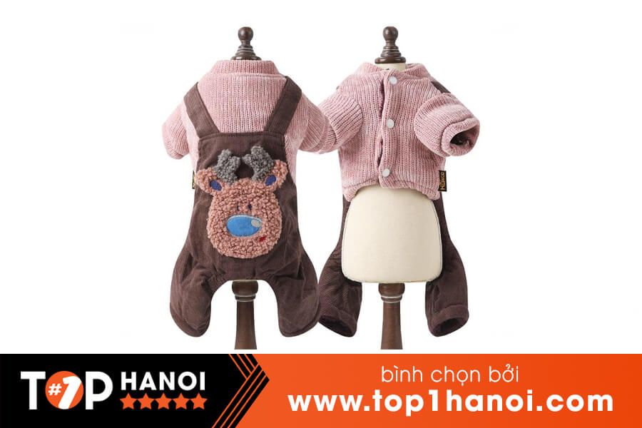 Shop Bán Chó Mèo Hà Nội FamiPet shop bán chó mèo hà nội