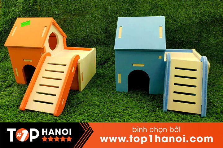 Shop Bán Chó Mèo Hà Nội Lolipet shop bán chó mèo hà nội