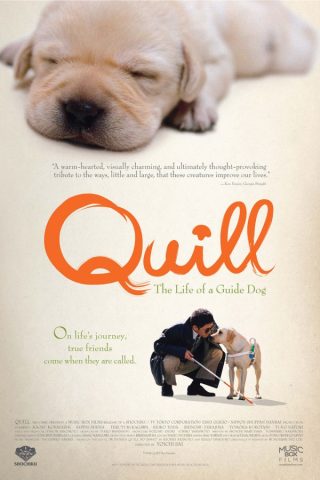 Phim Chú Chó Dẫn Đường: Hành Trình Cảm Động Của Quill