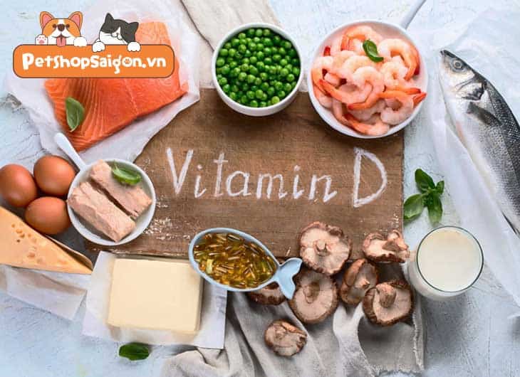 Phơi Nắng Cho Chó Sơ Sinh: Lợi Ích, Nguy Cơ Và Hướng Dẫn Chi Tiết
