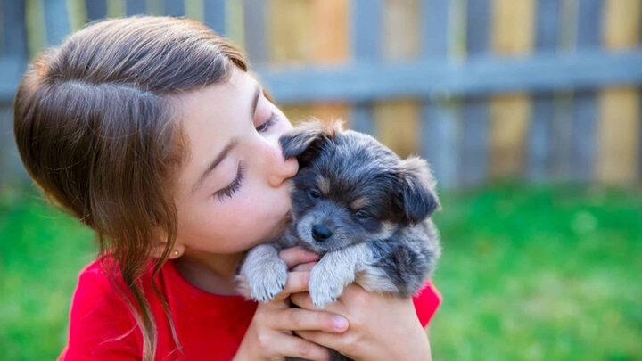 Phòng ngừa ghẻ Demodex ở chó lây sang người qua tiếp xúc gần