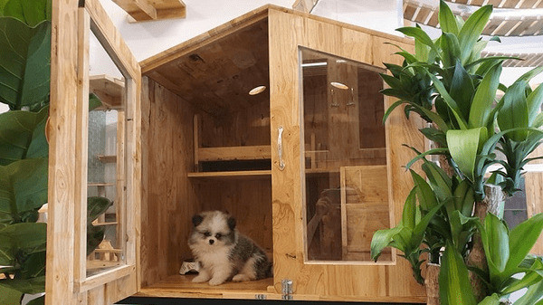 Phòng riêng trong Dogily Pet Hotel