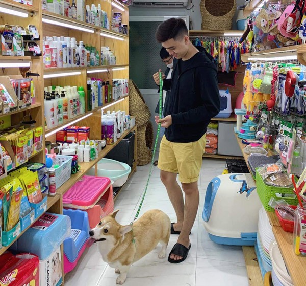 Phụ kiện cho chó cảnh đẹp ở Hà Nội, giúp thú cưng của bạn thêm nổi bật