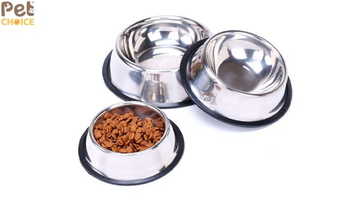 Phụ kiện cho chó Alaska: Hướng dẫn chăm sóc toàn diện từ A đến Z