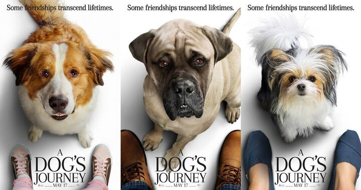 Poster phim Mục đích sống của một chú chó phần 2 với tên gọi A Dog's Journey