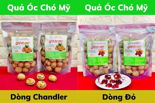 Quả óc chó mua ở đâu Tphcm - Hạt dinh dưỡng HSaHa