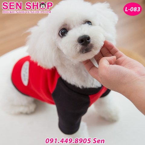 Quần Áo Cho Chó Poodle: Lựa Chọn Tối Ưu Cho Sức Khỏe Và Phong Cách