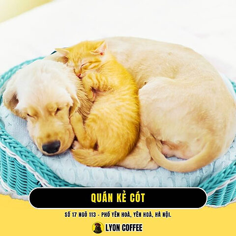 Quán cà phê Kẻ Cót ở Cầu Giấy Hà Nội Quán cà phê Kẻ Cót ở Cầu Giấy Hà Nội