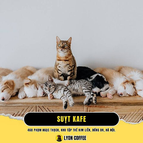 Quán cà phê Suýt Kafe ở Đống Đa Hà Nội Quán cà phê Suýt Kafe ở Đống Đa Hà Nội