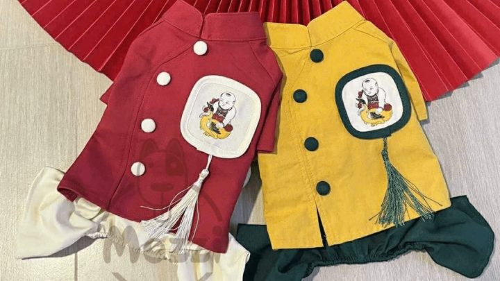 Áo Chó Mèo Giá Rẻ: Bí Quyết Chọn Lựa & Nơi Mua Uy Tín Nhất